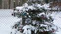 Weihnachten Tierpark Nikaolaus 021